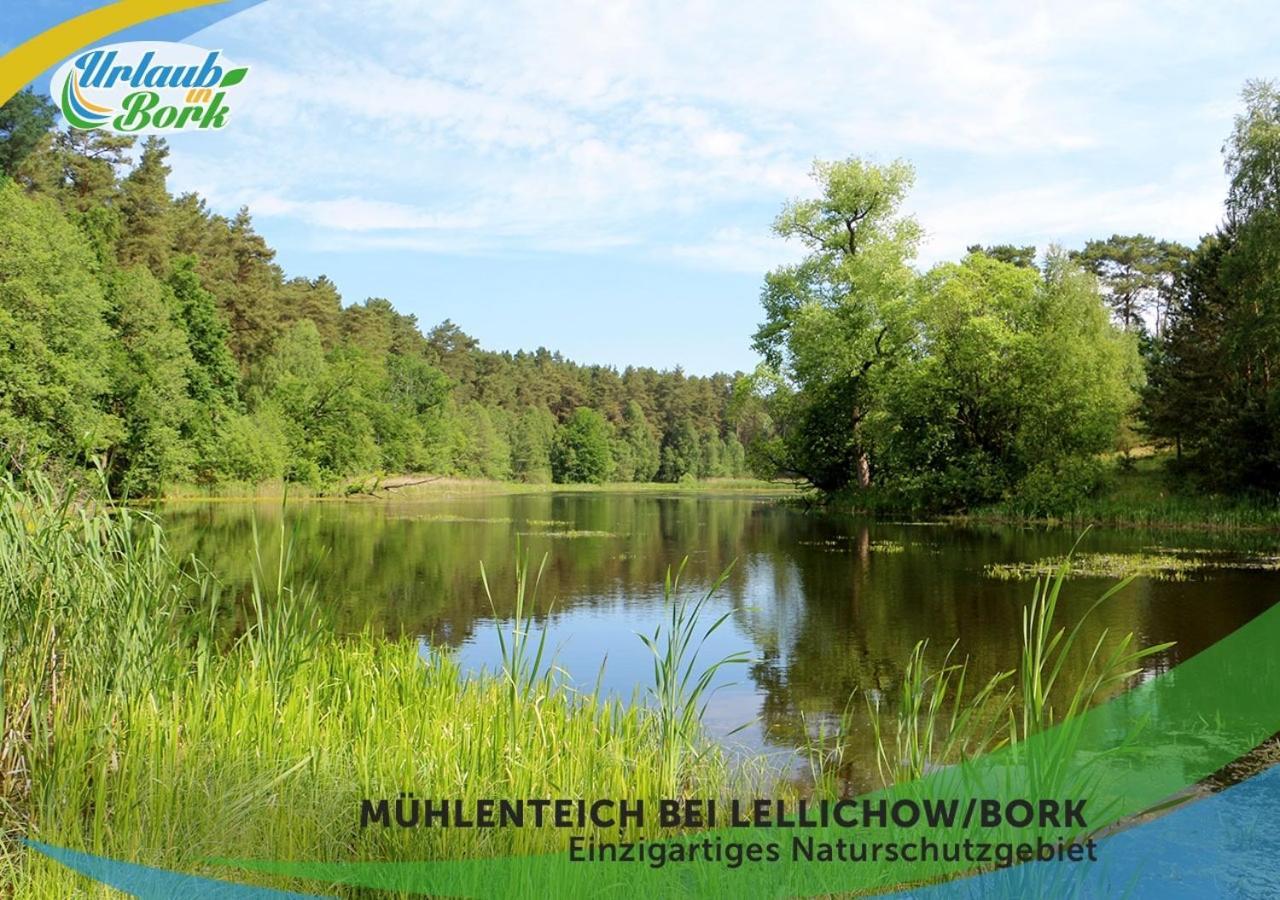 Jagd-Angler-Suite-04-Im-Wald-Am-See Kyritz Eksteriør billede